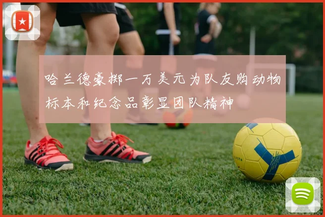 哈兰德豪掷一万美元为队友购动物标本和纪念品彰显团队精神